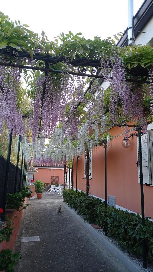 Casa Vacanze Mimose Palinuro Exterior foto