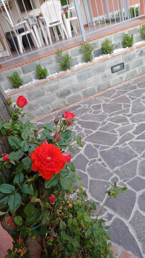 Casa Vacanze Mimose Palinuro Exterior foto